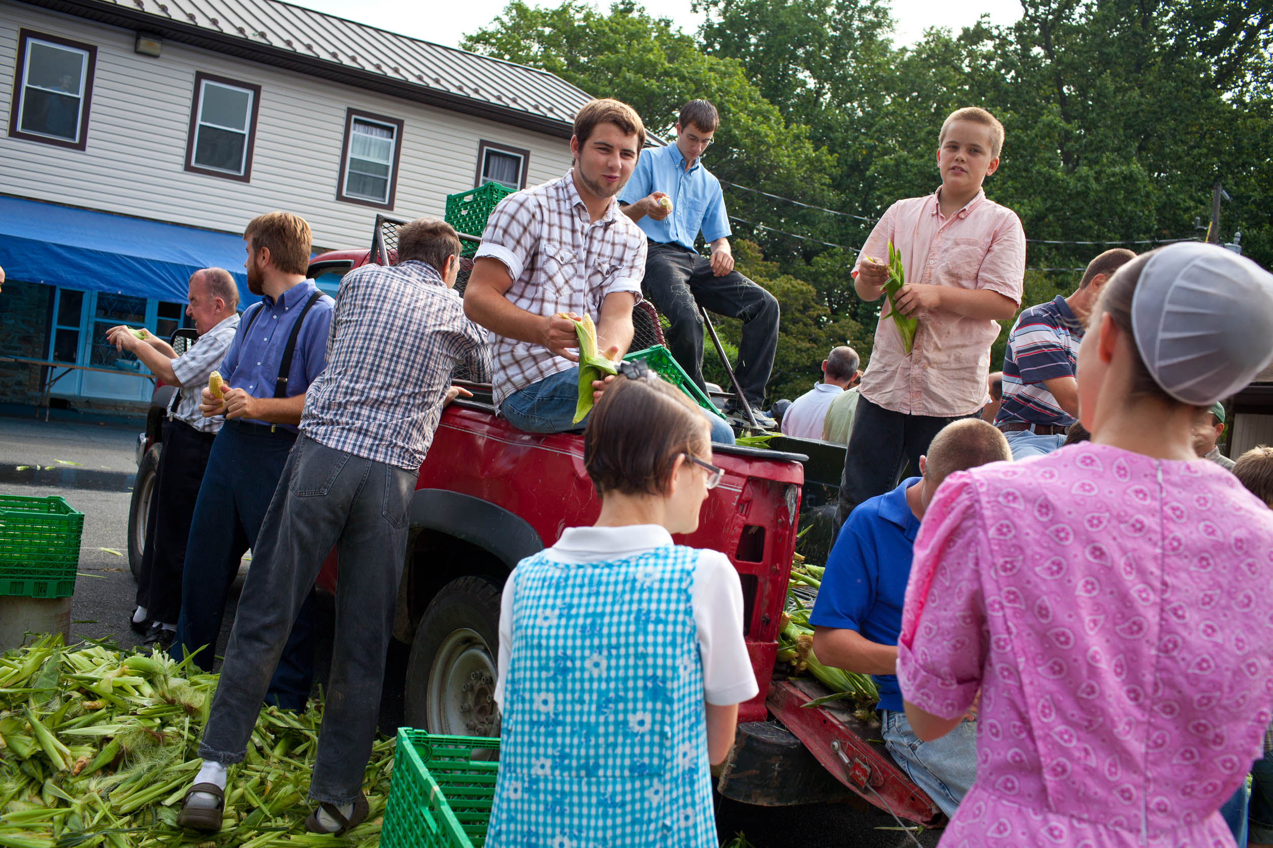 Agriculture_01.JPG