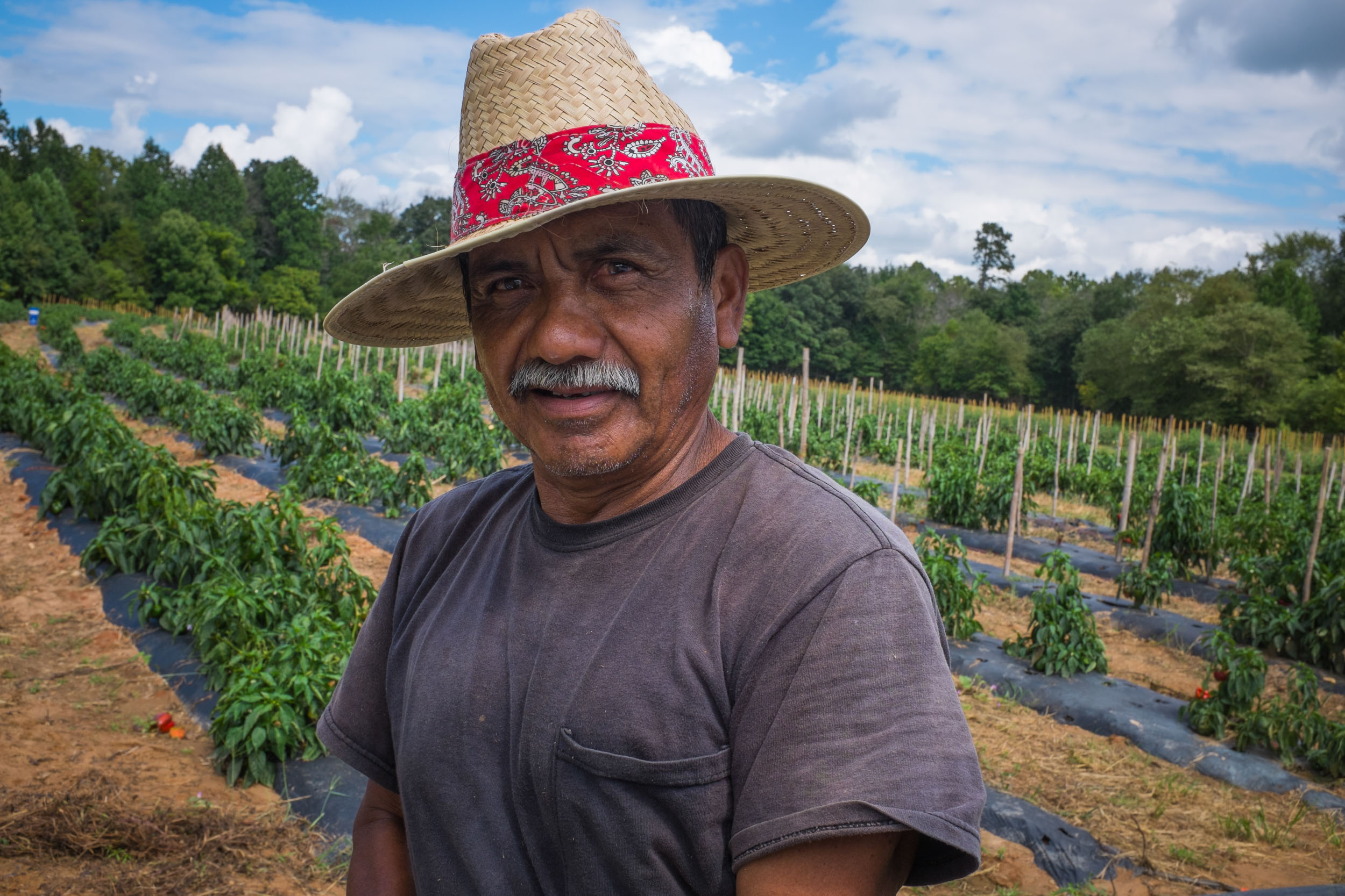 Agriculture_29.JPG