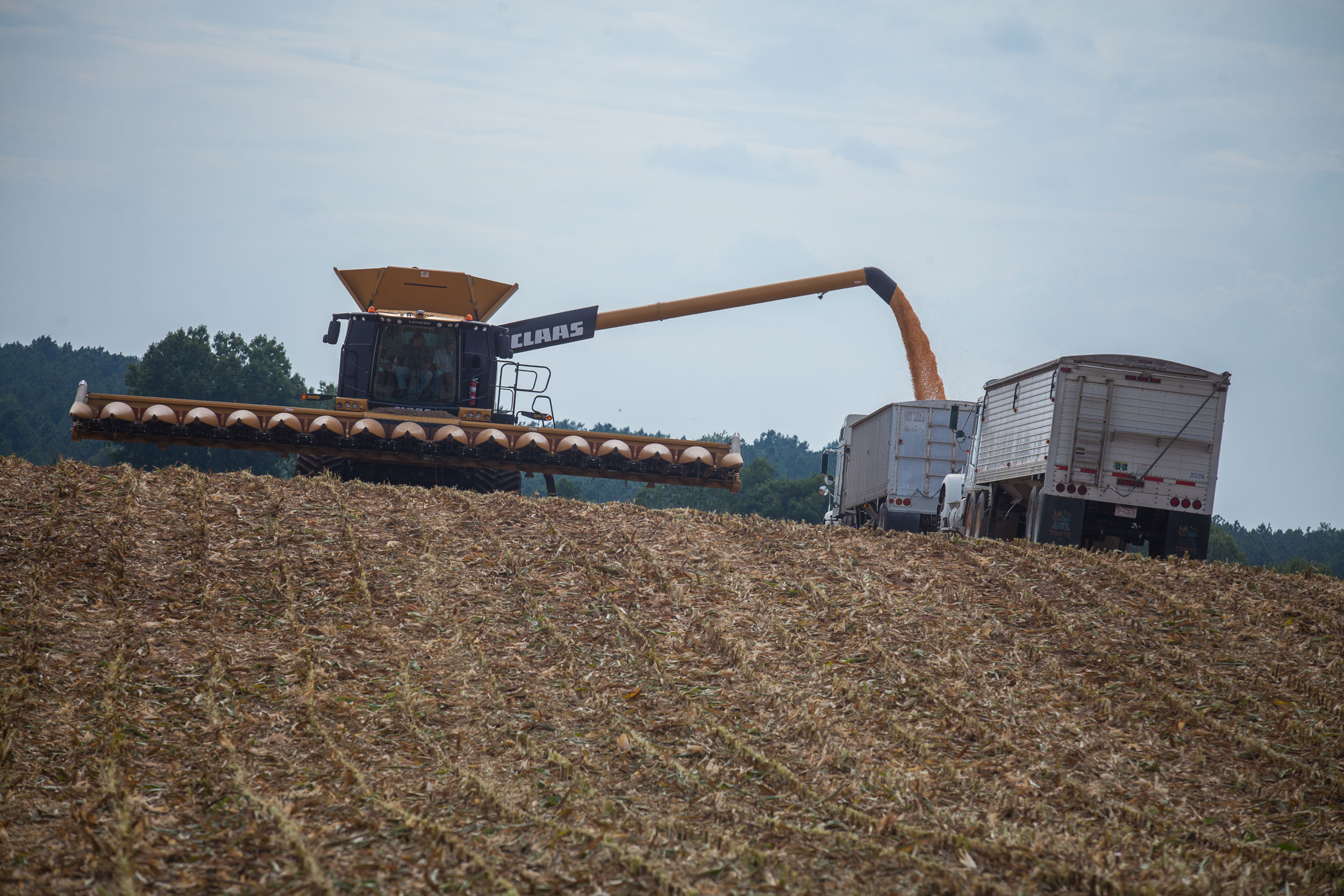 Agriculture_48.JPG
