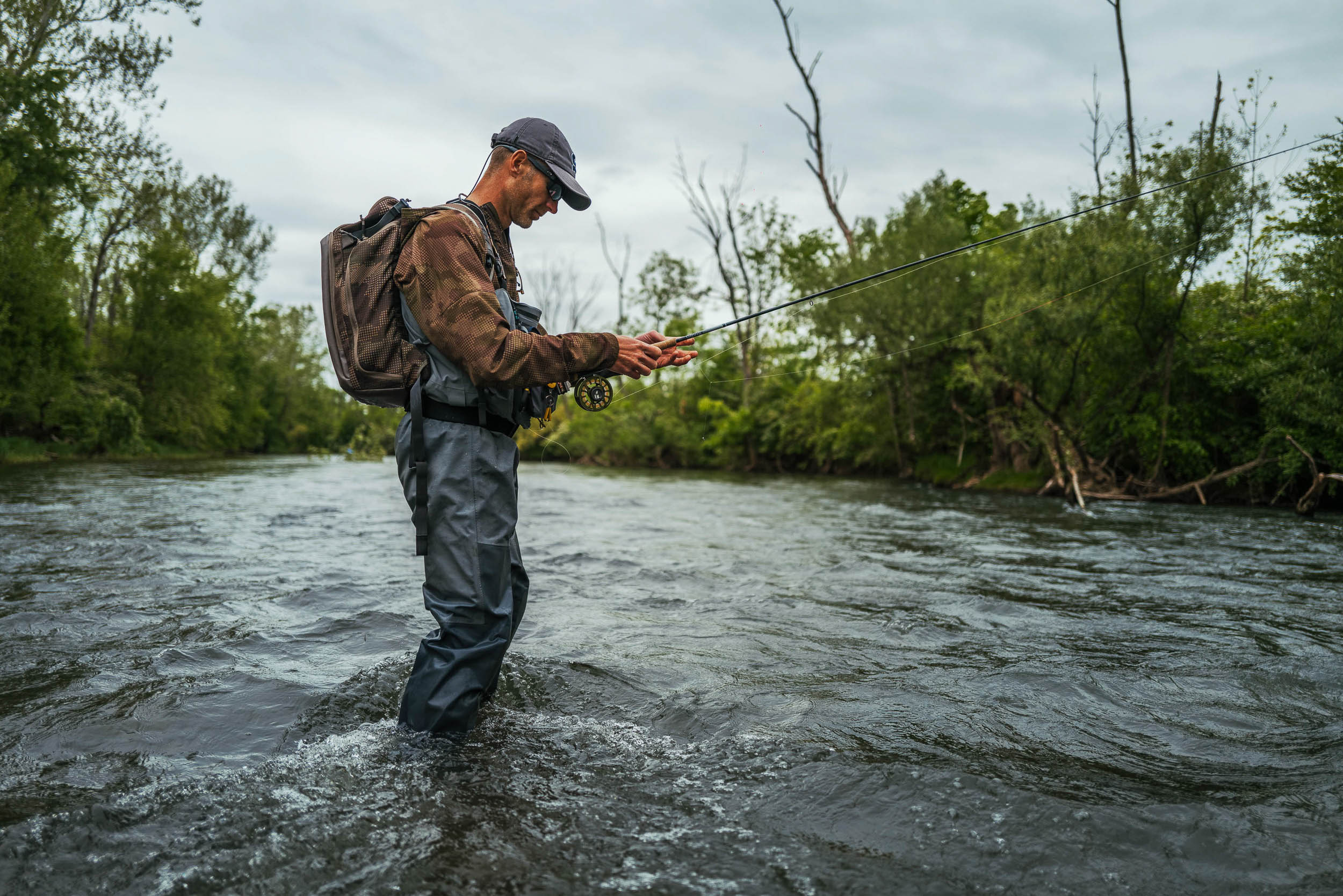 Trout_22